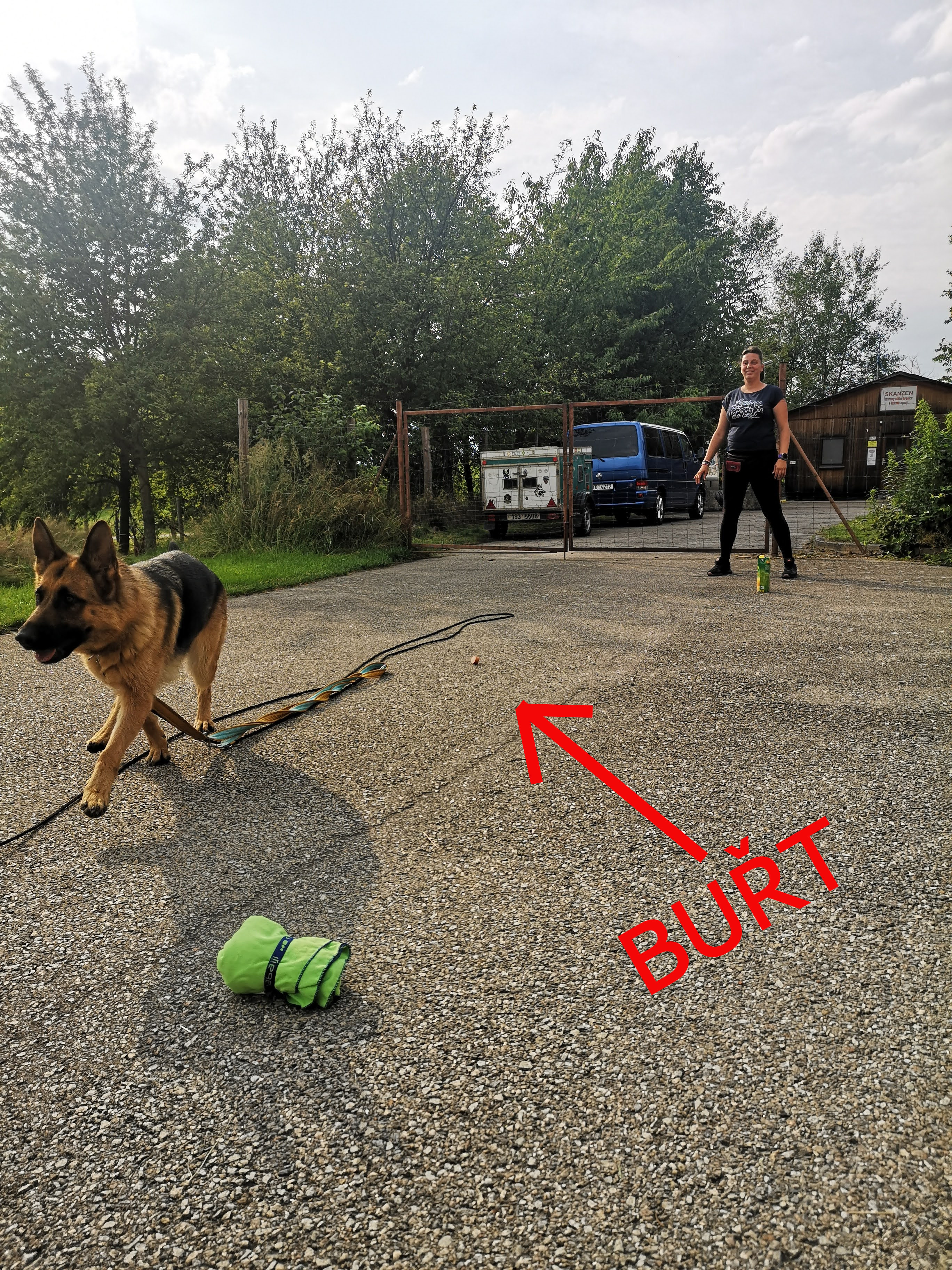 Burt 2
